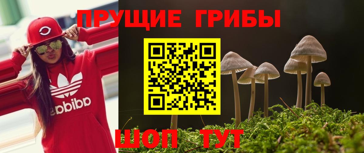 Волжский  Галлюциногенные грибы Magic Shrooms  Вход с VPN 